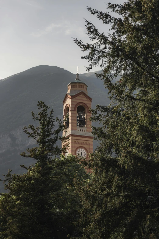 there is a very tall clock tower between the trees