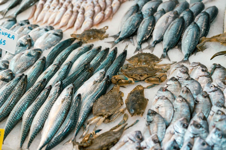 a fish market with a large assortment of fresh caught and cleaned fishes