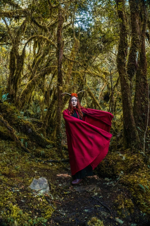 a woman in a red cape is in the woods