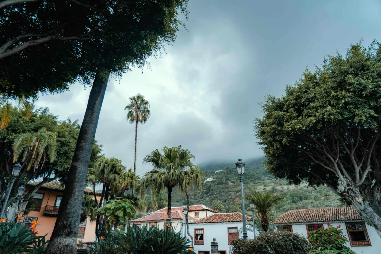 the view of a house from a street in an area surrounded by trees