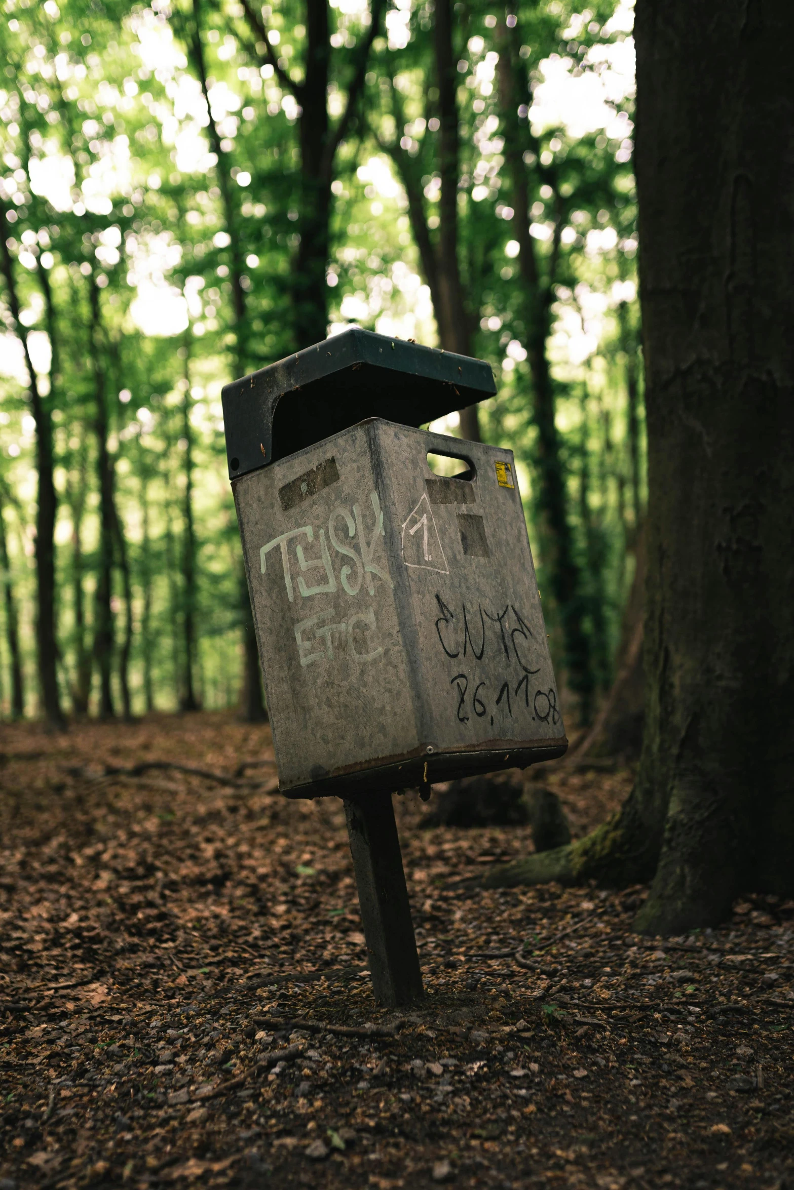 a sign in the middle of a wooded area