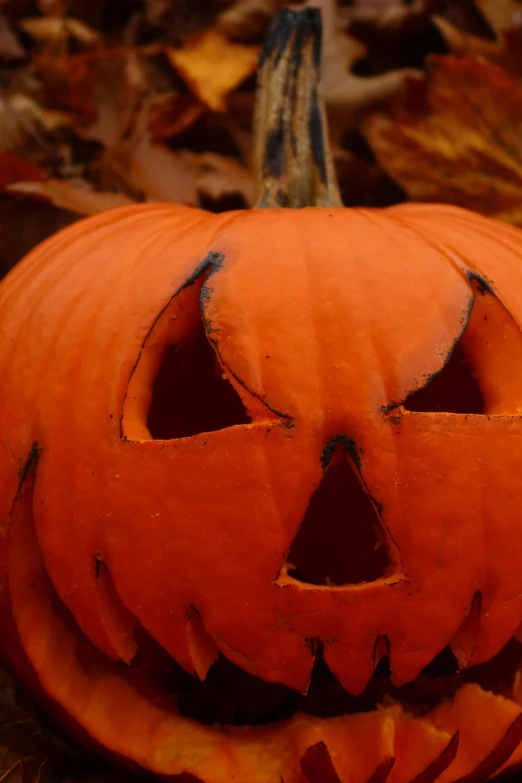 two carved pumpkins sitting on top of leaves