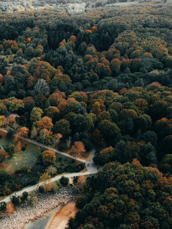 an aerial view of an area surrounded by trees