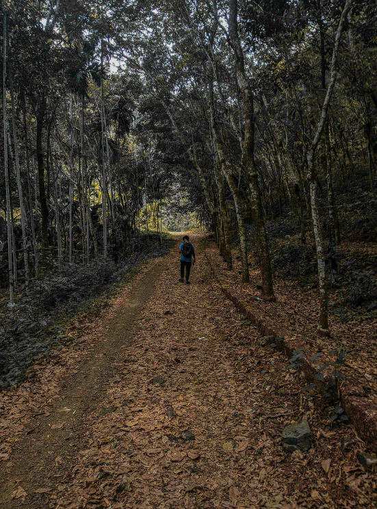 a person walking down the side of a leaf covered road