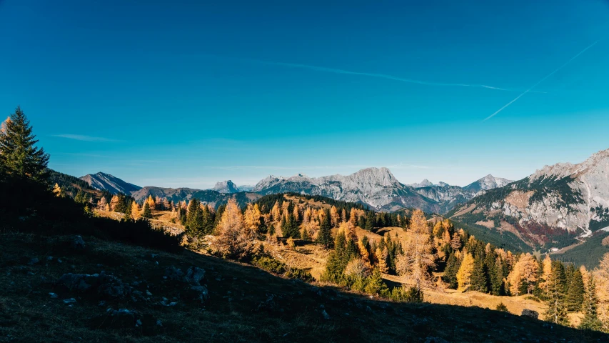 the sun is low on the trees as the mountains are covered in fall colored foliage