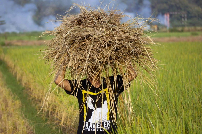 a man is standing in a field with a large pile of hay