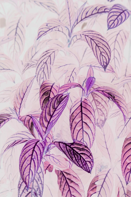 large purple leaves with watercolor effect in a pattern