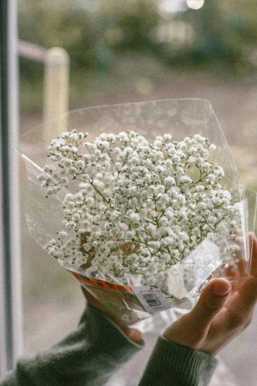 a person holds a bouquet of white flowers