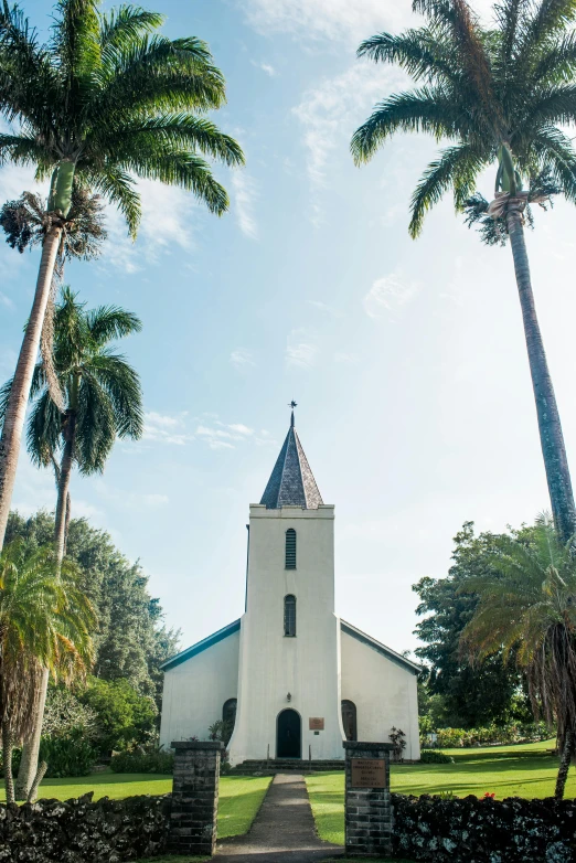 a church surrounded by palm trees and landscaping