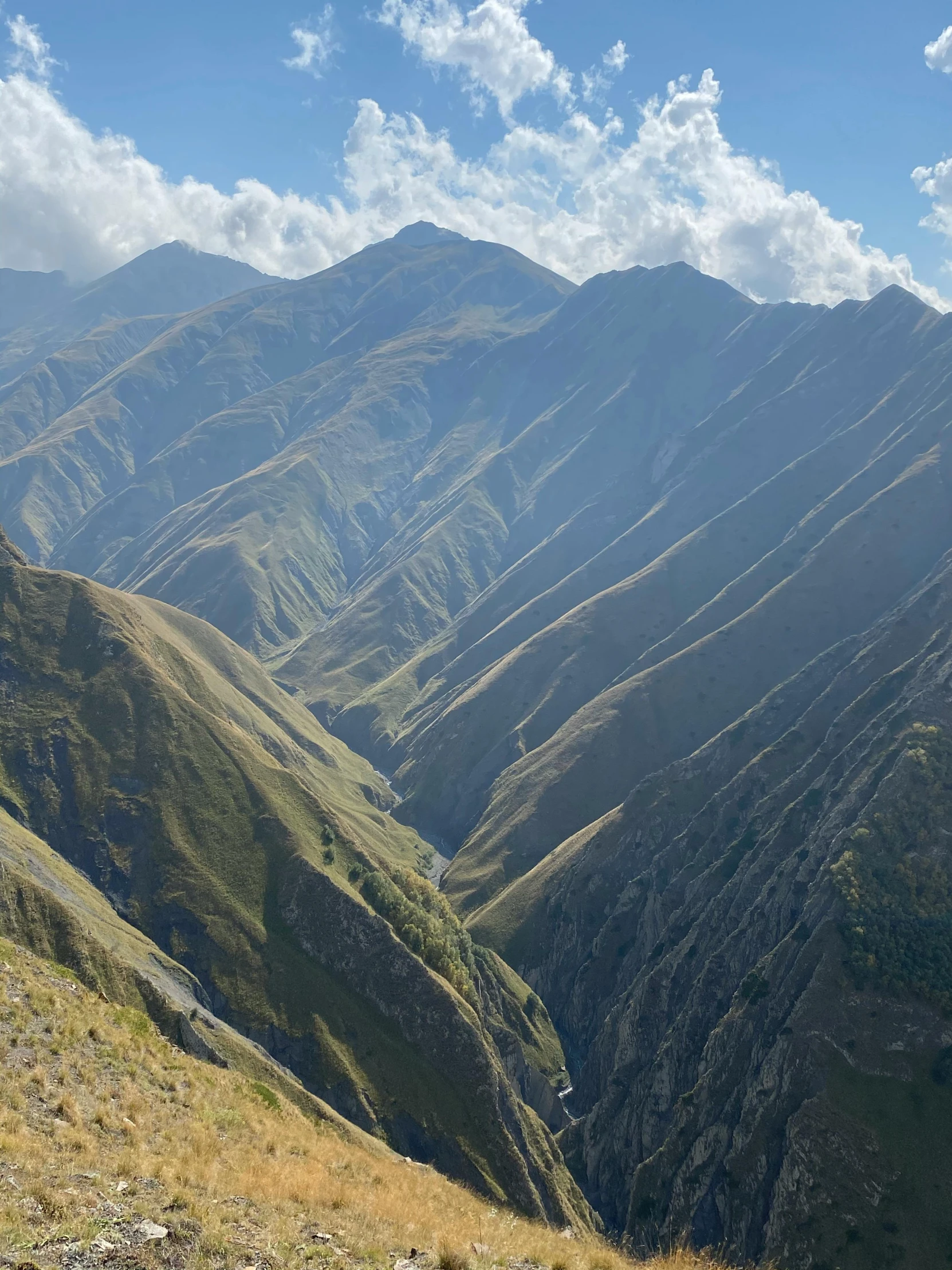 the mountains are covered with greenery as well as grass