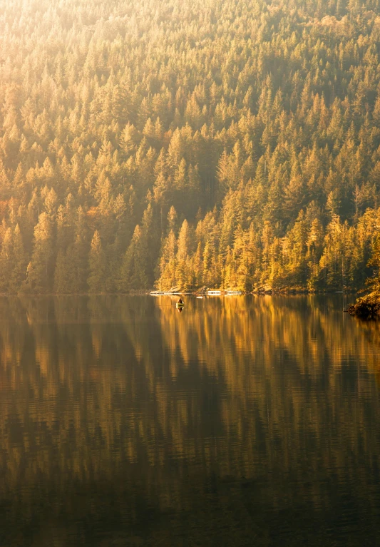 a group of small boats on a calm lake