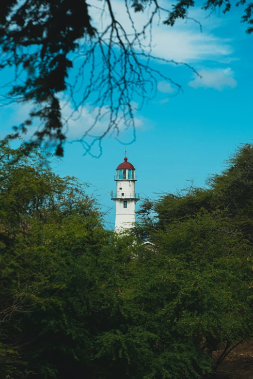 a very tall light house in the trees