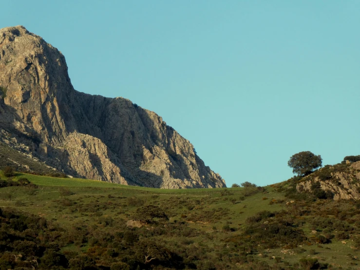 a large mountain side with a tree in the foreground