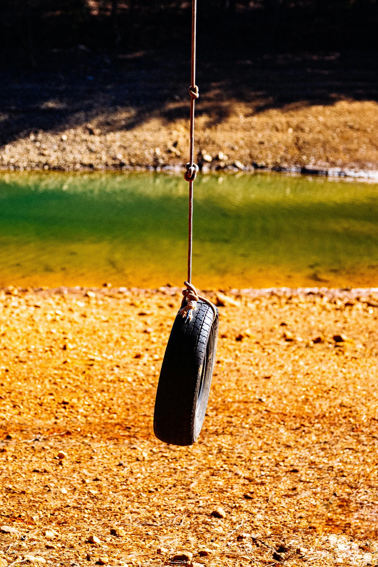 a tire hangs upside down by a river