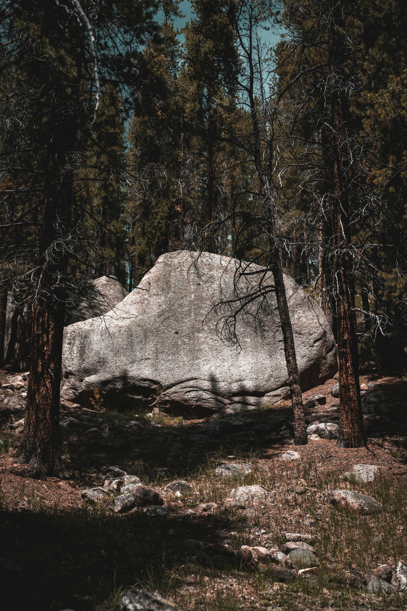 an image of a large rock that is sitting in the woods