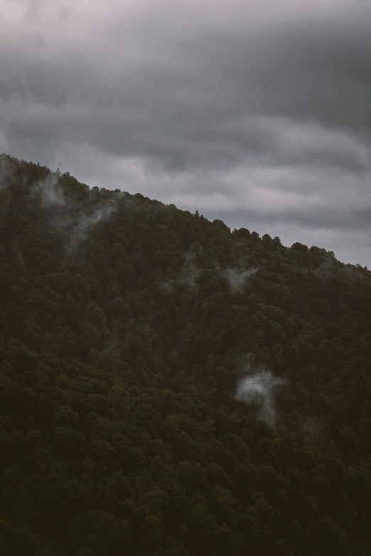 a plane flying over trees on a cloudy day