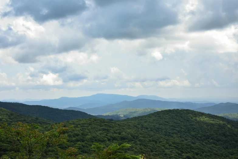 a po looking into the distance at mountains and trees