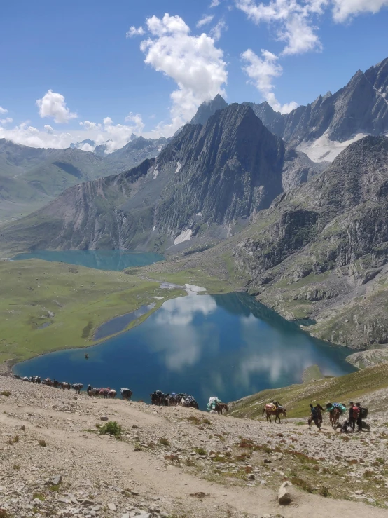 horses standing on a hill with blue lake in the background