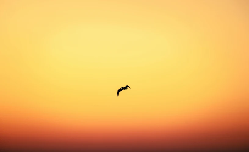 a person para sailing in the ocean against a colorful sunset