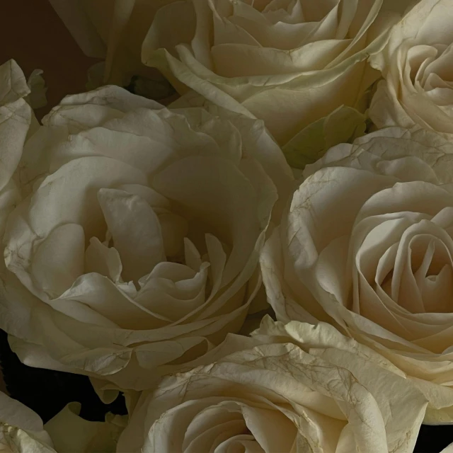 a bouquet of white roses with one bunch in the middle