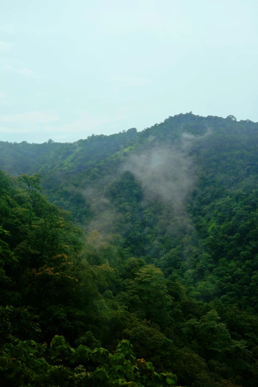 mist is moving through the green hills in the mountains