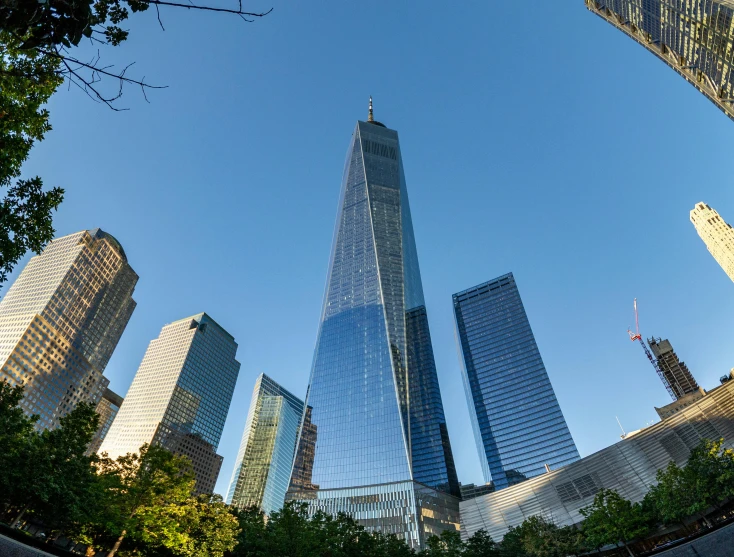 high rise buildings in the city viewed from the ground