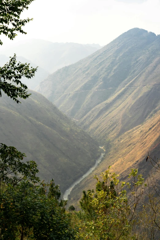 trees and shrubs in foreground with mountains in the distance