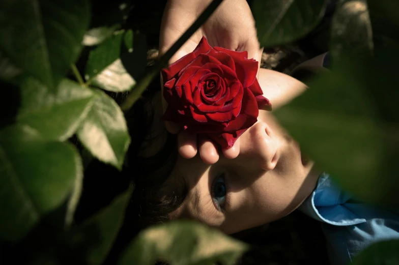 a small boy holding a big red rose