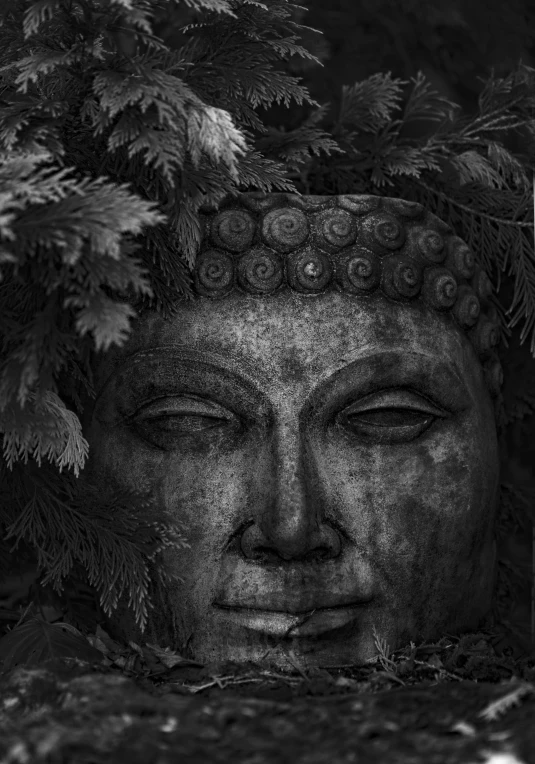 a black and white po of a buddha face