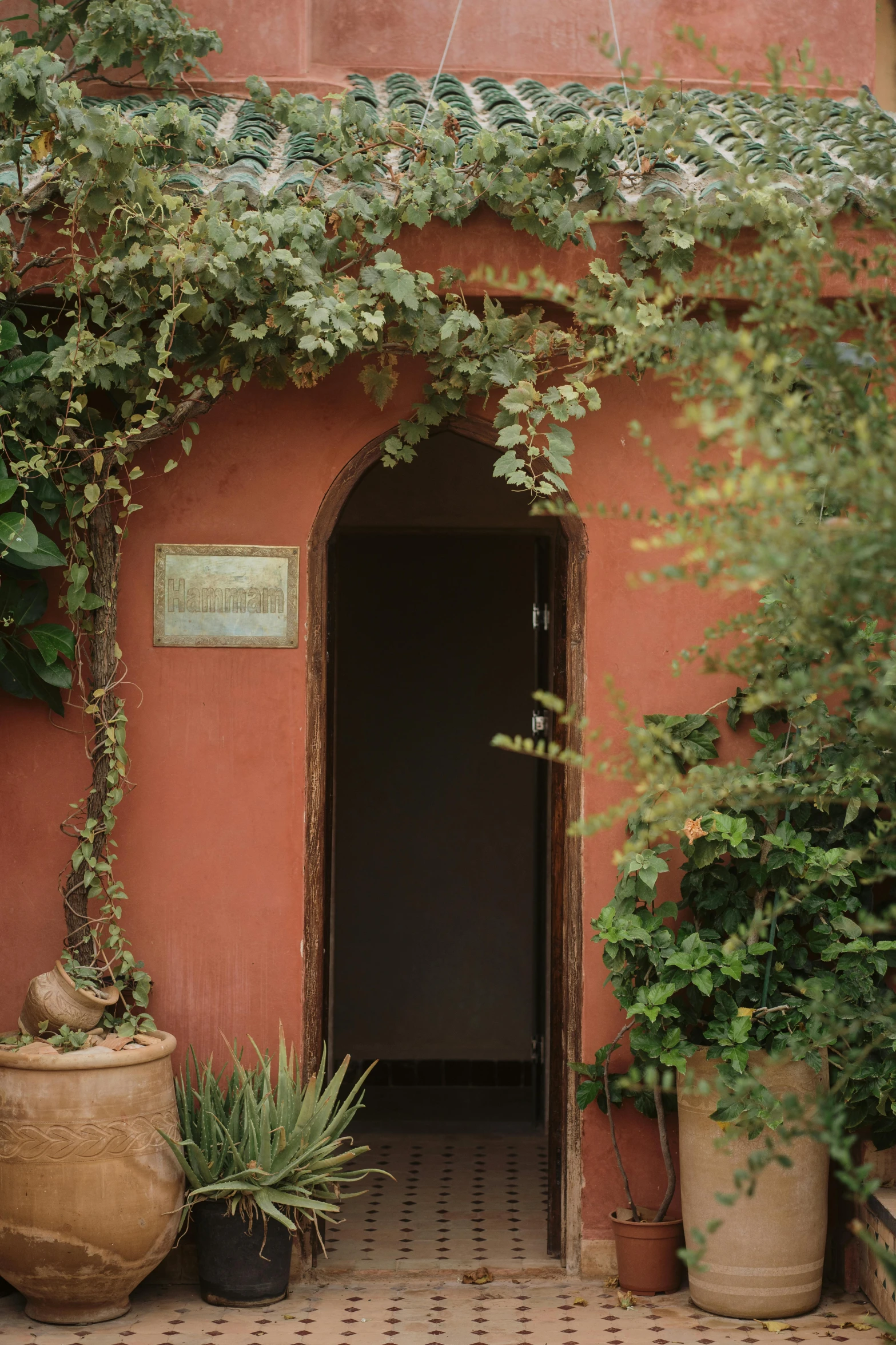 a doorway between two plants in front of a building