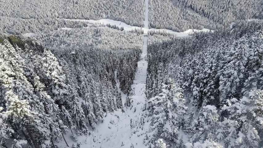 the mountains are covered in snow and trees