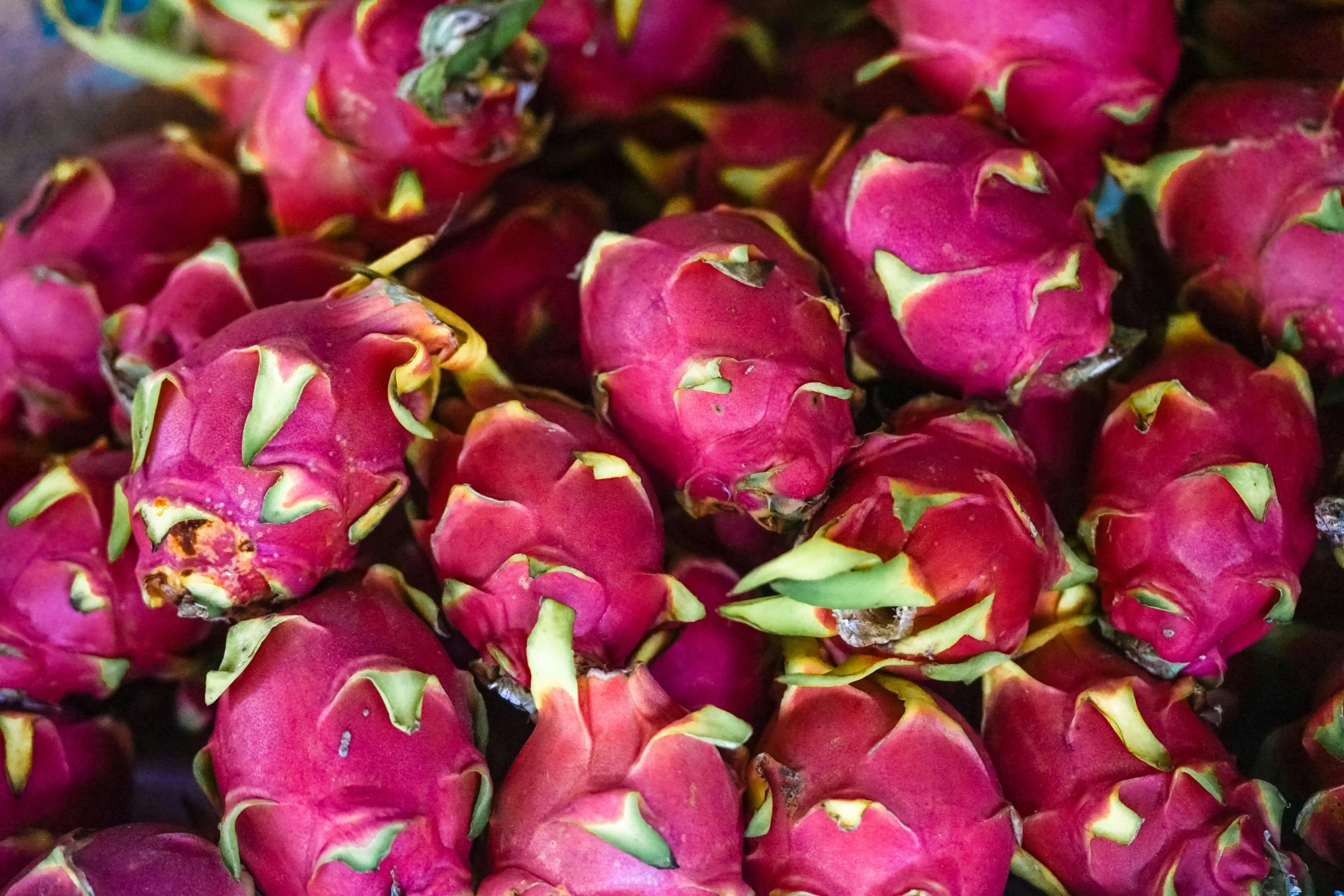 dragon fruit is cut open to reveal lots of 