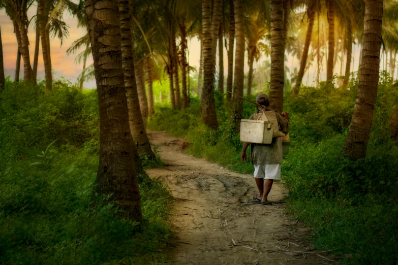 a person walking down a dirt road through some palm trees