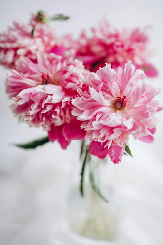 a small clear vase filled with pink flowers