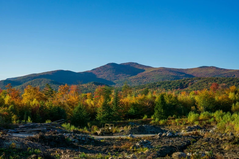 the beautiful mountains with a bunch of colorful trees