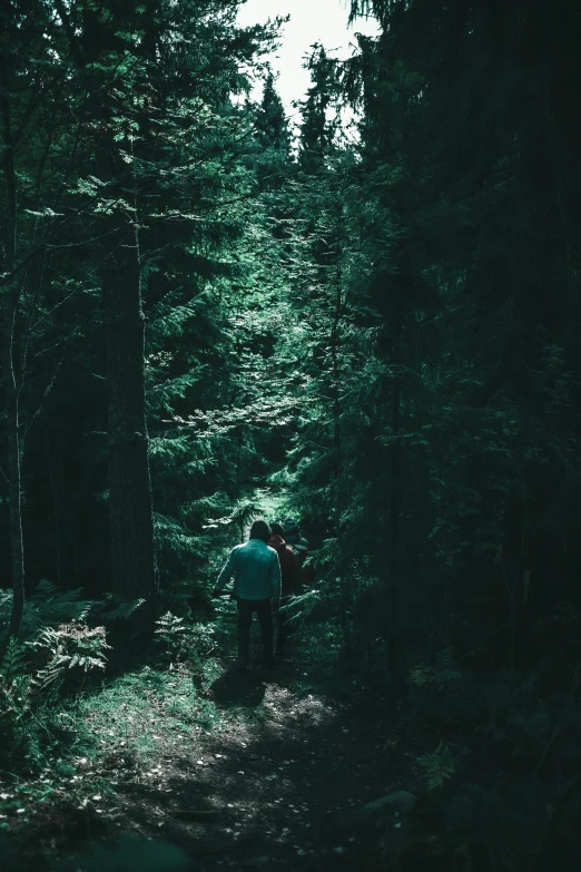 people walking down a path through the woods