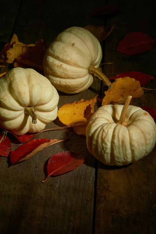 three pumpkins sit next to some autumn leaves