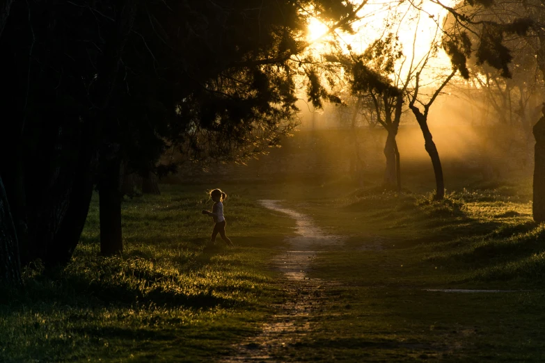 sunlight shines through trees while people are running down a trail in the middle of a park