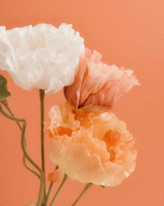 the two white flowers are sticking out of the brown vase