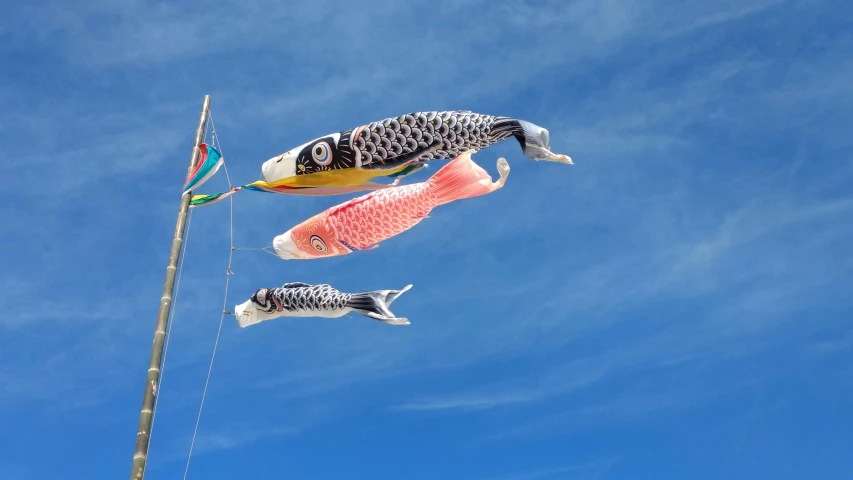 fish balloons are floating in the air on a sunny day