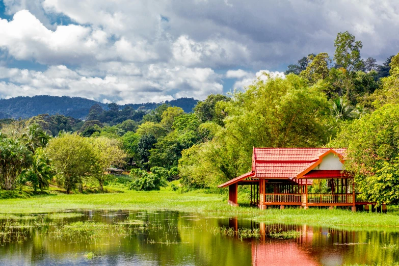 small wooden house sitting in a meadow next to the water