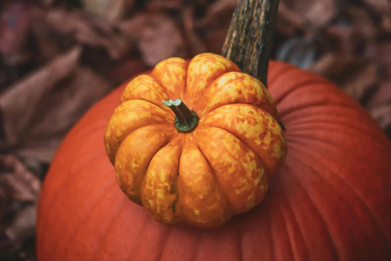 a small orange pumpkin with yellow speckles