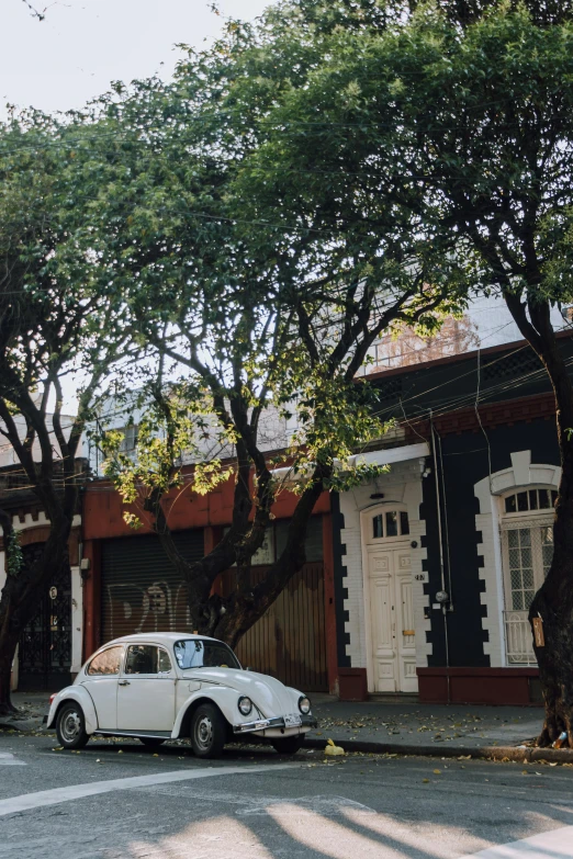 there is a white car that is parked by the trees