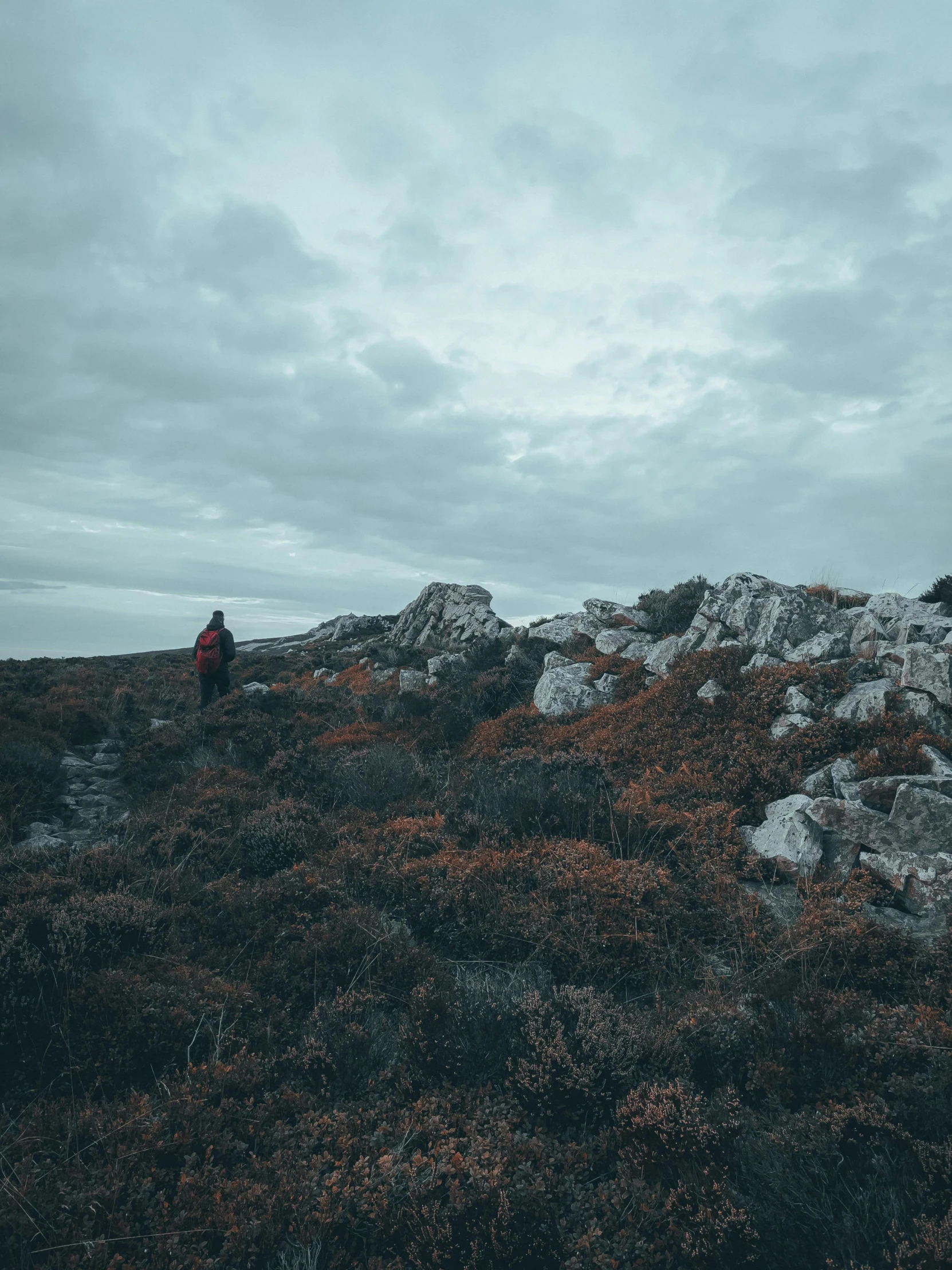 a lone person sitting on a hill covered in foliage