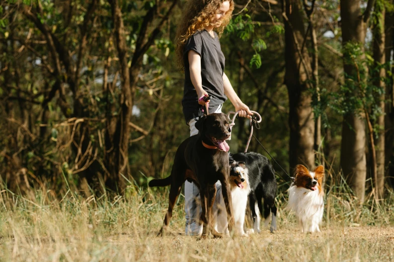 a  on a bike with dogs