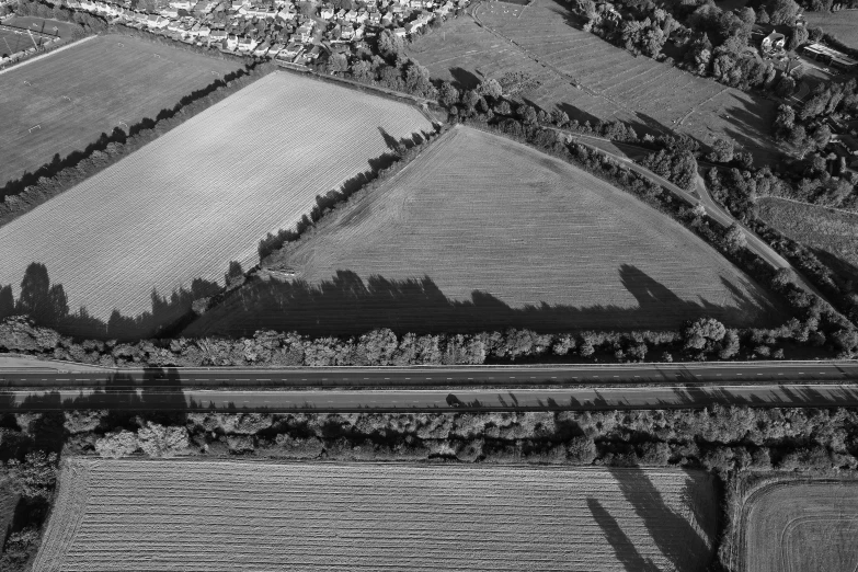 aerial view of a road, farm fields and trees