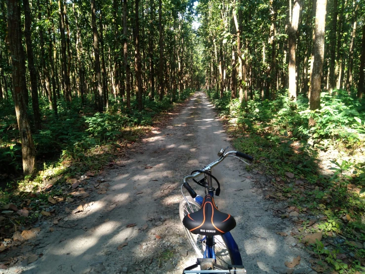 a bike is parked in the middle of the woods