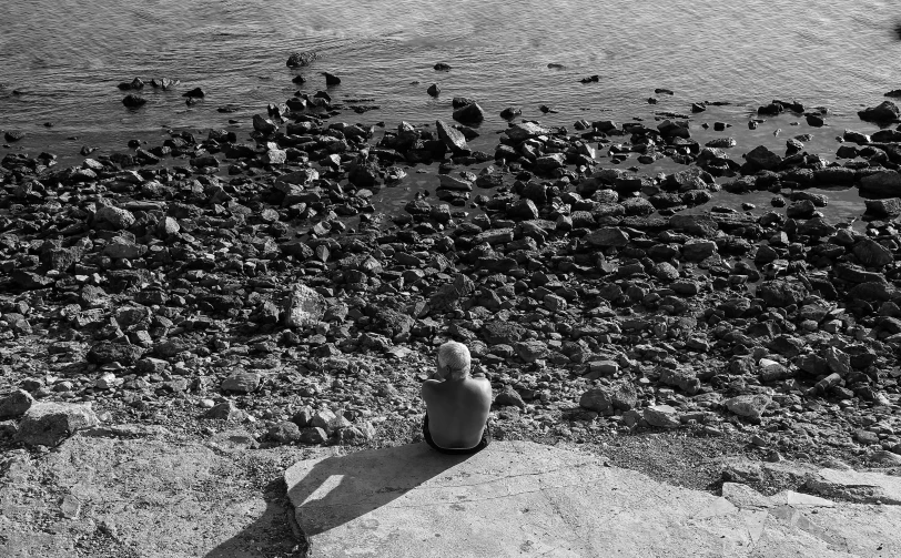 two black and white birds are feeding on rocks