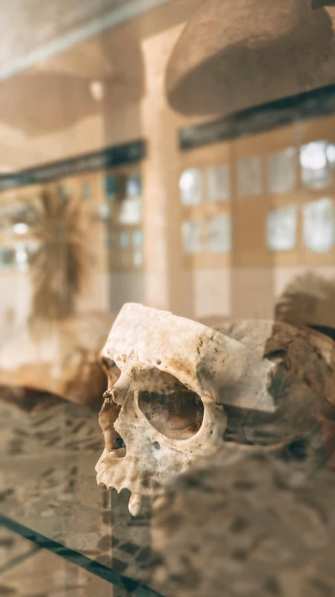 a po of a glass table with a small skull on it