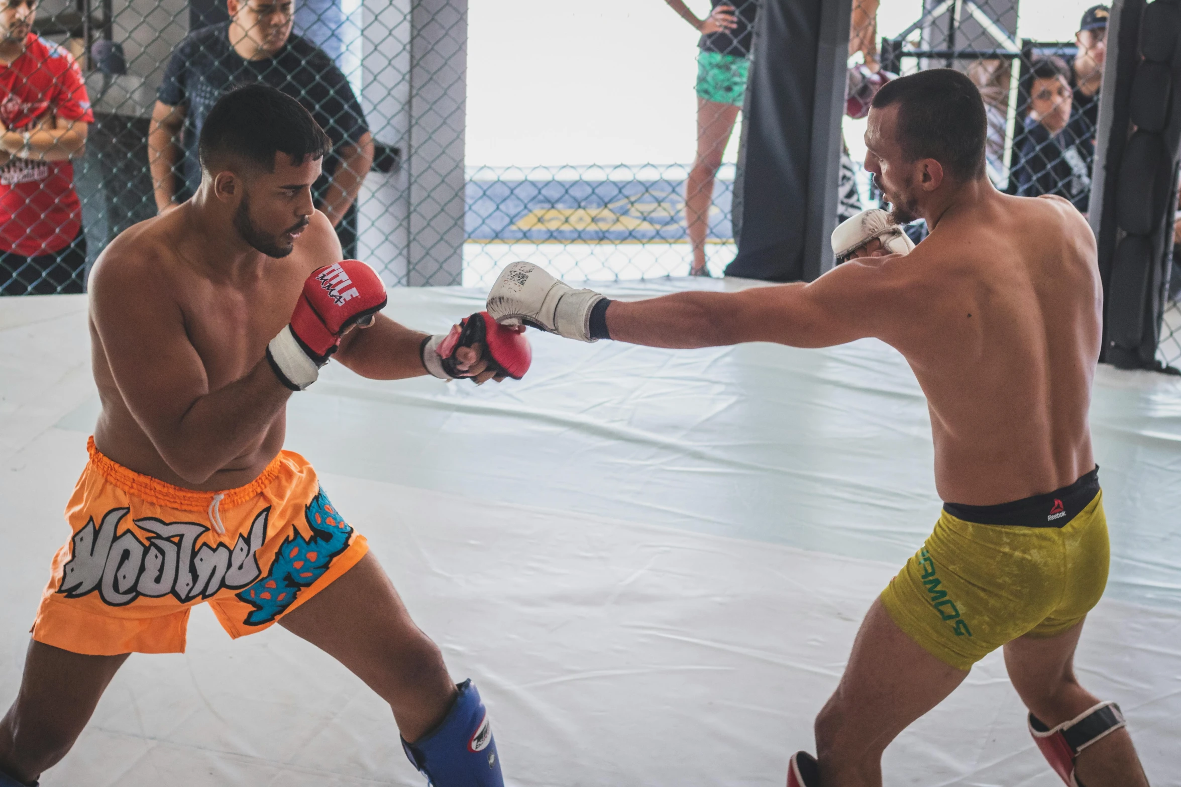 two men in orange and blue trunks on a ring